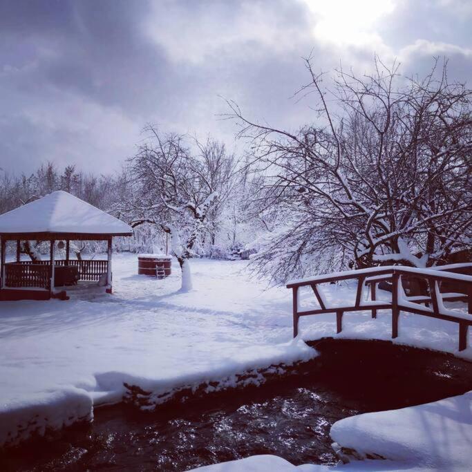Horace Guesthouse Pool & Hot Tub & Bikes & River Dejani 外观 照片