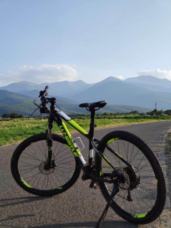 Horace Guesthouse Pool & Hot Tub & Bikes & River Dejani 外观 照片