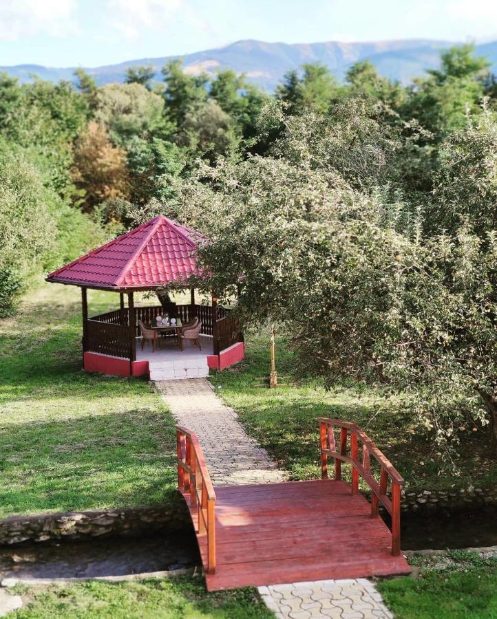 Horace Guesthouse Pool & Hot Tub & Bikes & River Dejani 外观 照片