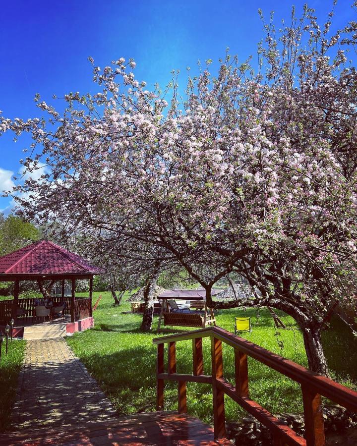 Horace Guesthouse Pool & Hot Tub & Bikes & River Dejani 外观 照片